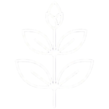 Natural ingredients icon